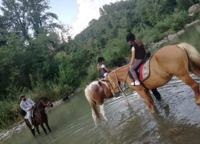 Uno de nuestros caballos