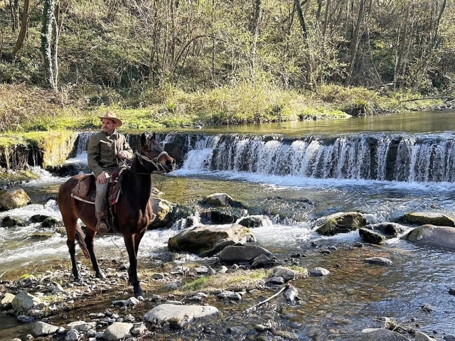 Relajación en el arroyo