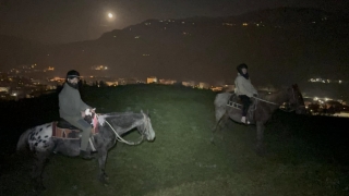 Paseo a caballo bajo las estrellas en Bolonia 1h