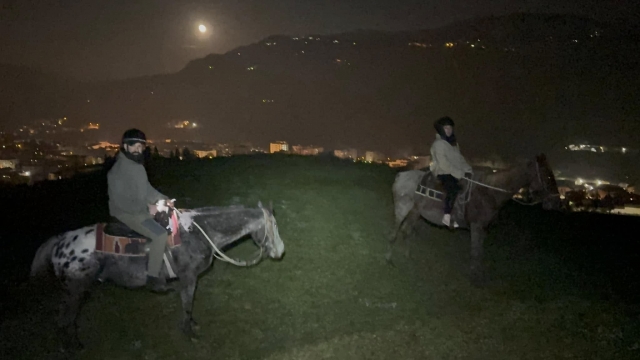 Paseo a caballo bajo las estrellas en Bolonia 1h Paseo a caballo bajo las estrellas en Bolonia 1h