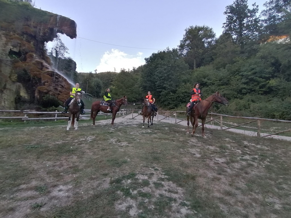 Antes de la salida  Antes de la salida