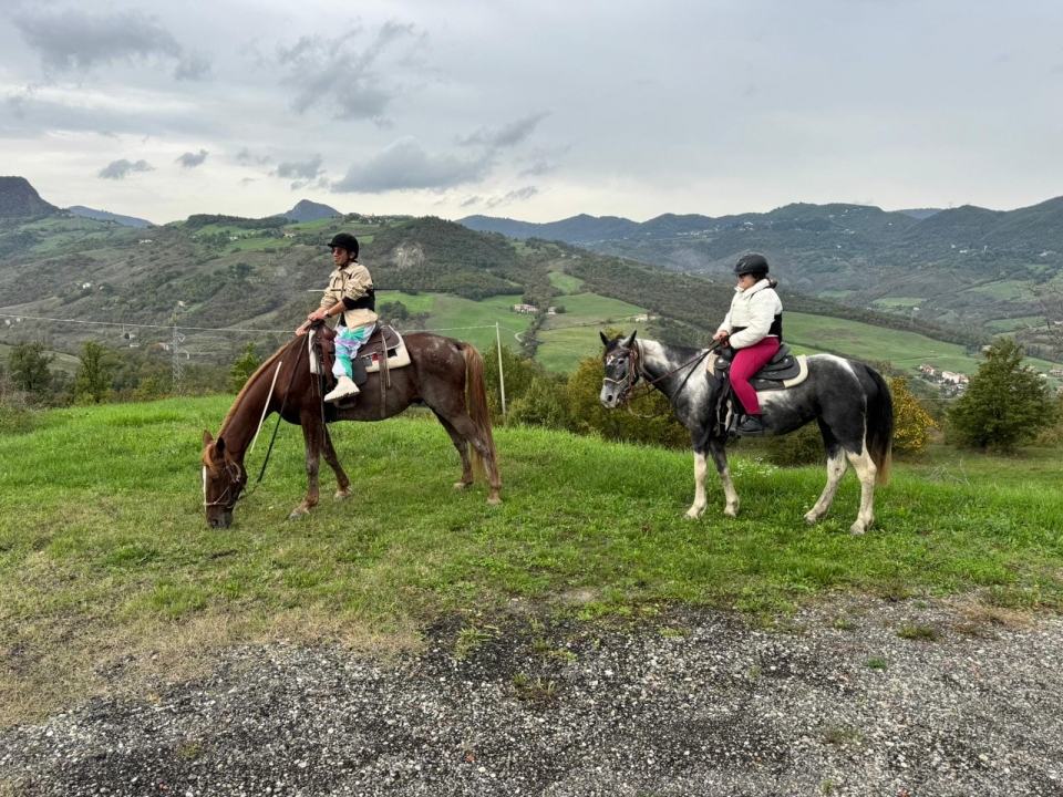 Paseo juntos  Paseo juntos