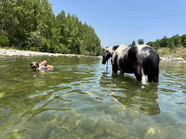 Paseo a caballo por el Rin baño fluvial + picnic 4h Paseo a caballo por el Rin baño fluvial + picnic 4h