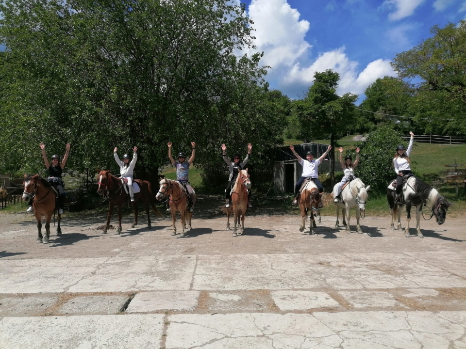 Foto de grupo  Foto de grupo