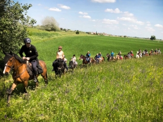 Paseo a caballo Parque del Río Adda 1h