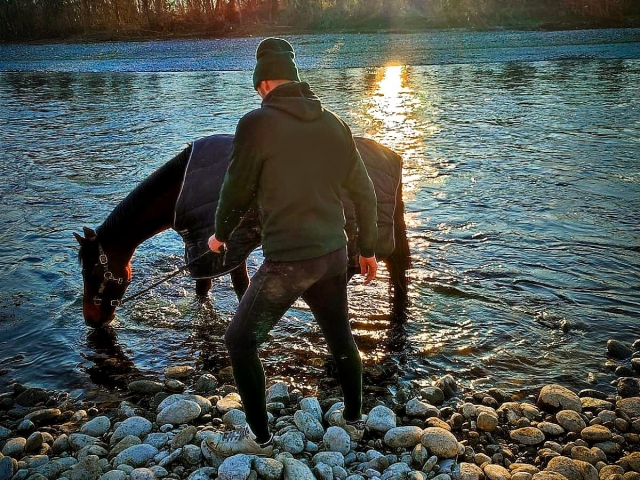  Uno de nuestros ejemplares 