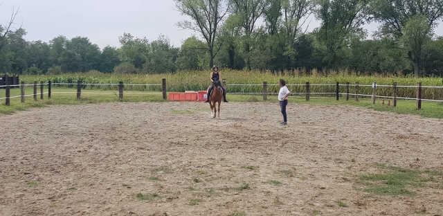  Dentro de nuestro recinto 