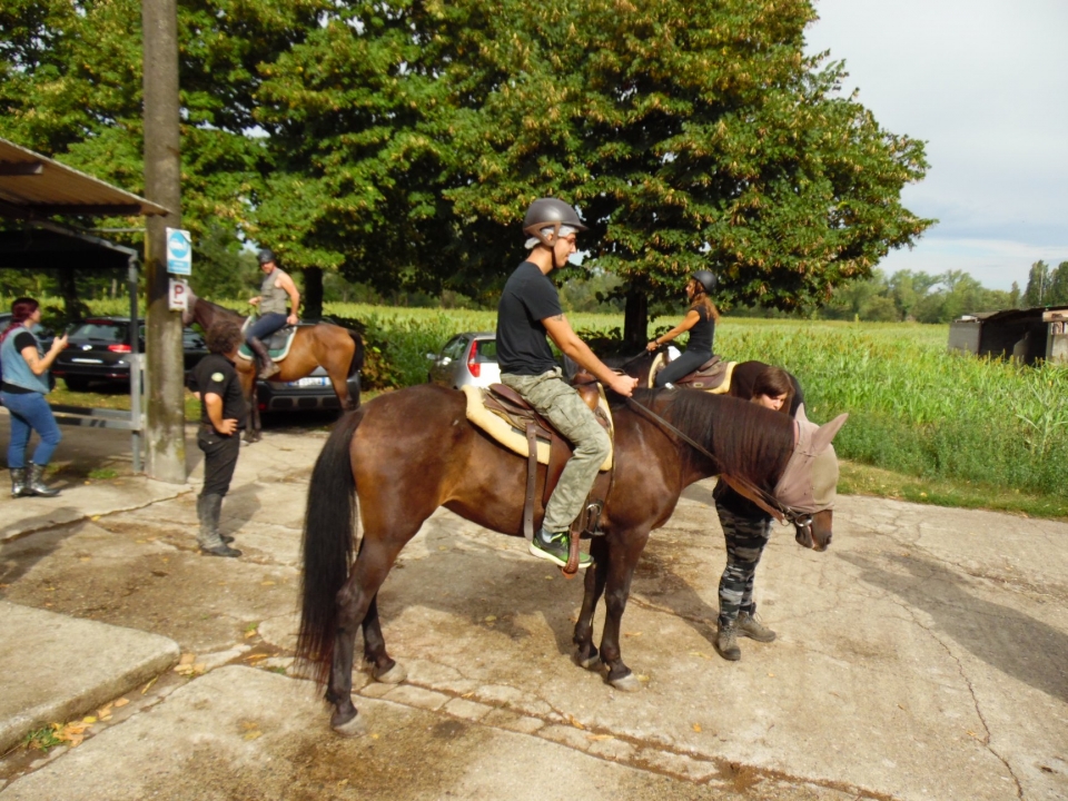  Antes de salir a caminar 
