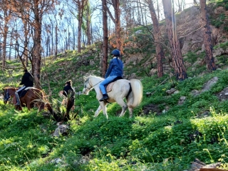 Cabalgamarra por la naturaleza en Sferracavallo + aperitivo 1h