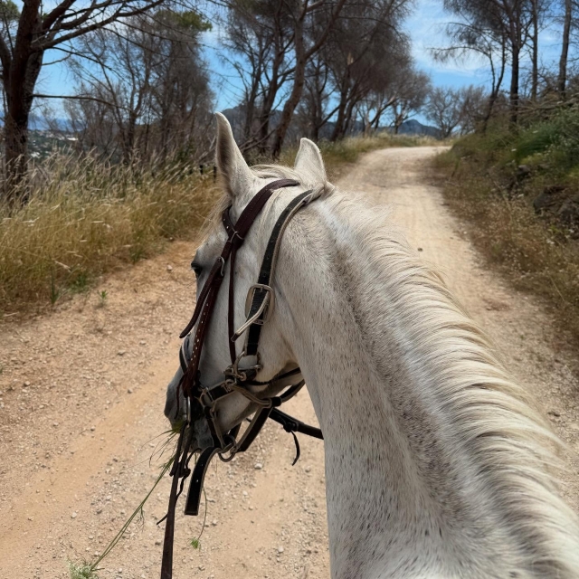  Uno de nuestros ejemplares 