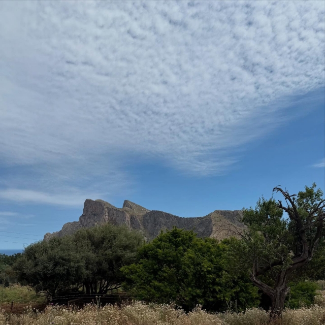  La naturaleza de Palermo 