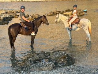 Paseo a caballo por la playa de la Reservación Capo Gallo 1h