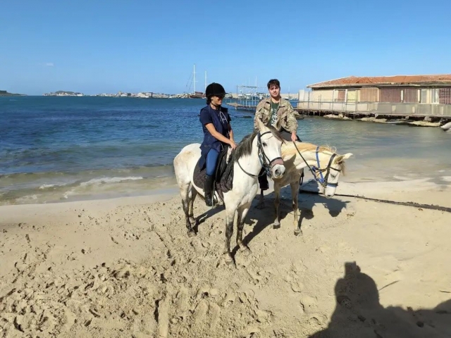  Descanso en la playa 