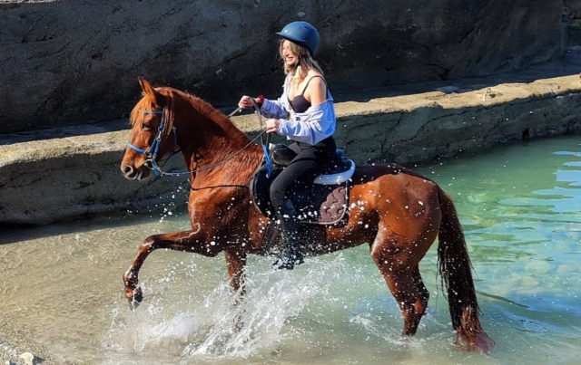  Reservación Capo Gallo 