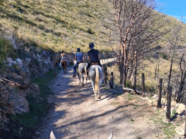  Paseo a caballo por Pizzo Manolfo 