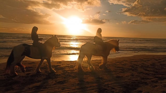  Paseo a caballo al atardecer 
