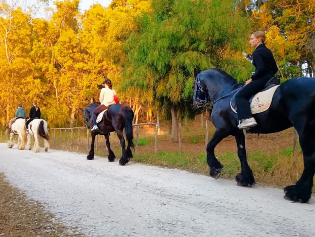  Paseo por el verdor de la reserva