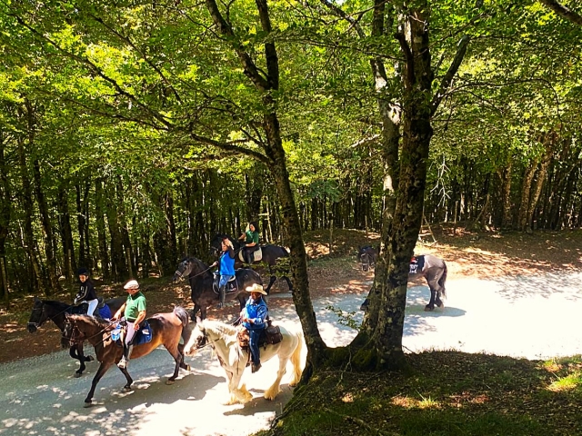  Excursión al lago Maulazzo 