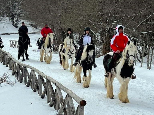  Actividades invernales en el lago Maulazzo 
