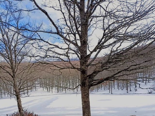  Paisaje nevado Lago Maulazzo