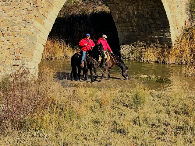 Paseo a caballo por el río Troina + aperitivo de 4 horas