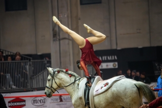 Clases de salto ecuestre en Génova de 2 horas de duración