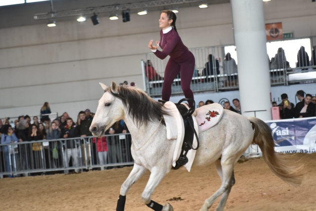 concursos de salto de expertos