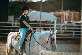 Tour + lección interna en las caballerizas de Rosolini 1h