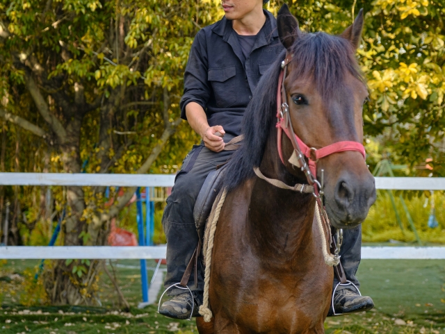  lección en el campo 