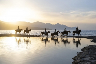 Cabalgamarra por la Playa de Plaja 1h30