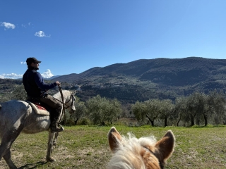 Paseo a caballo de 1 hora en el corazón de Sabina.