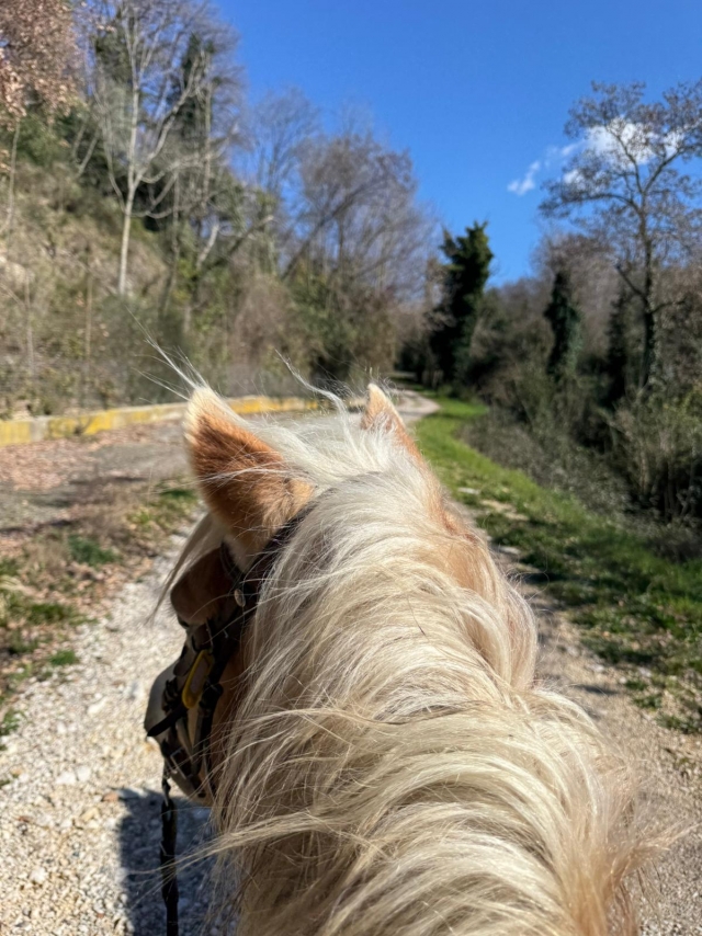  Cabalgando hacia el río