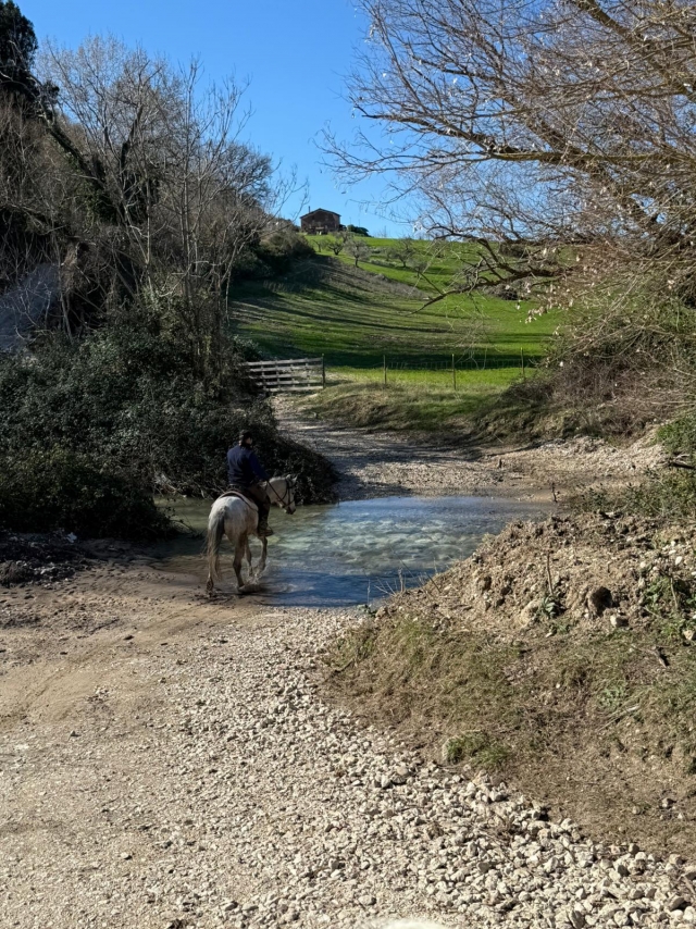Pasando junto al río 