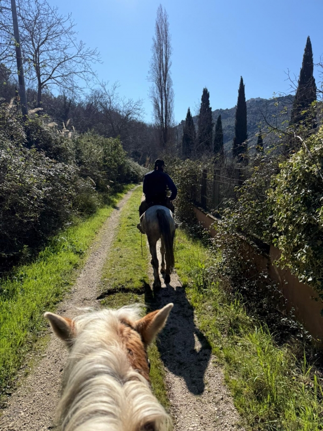  Caminando en la naturaleza 