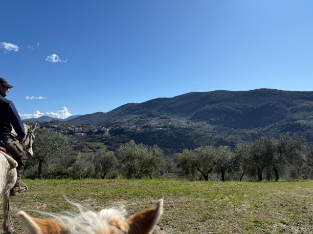  La naturaleza en el horizonte 