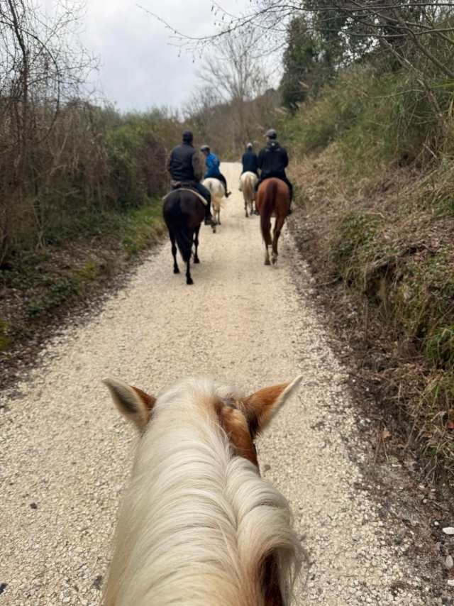  Senderos rodeados de vegetación