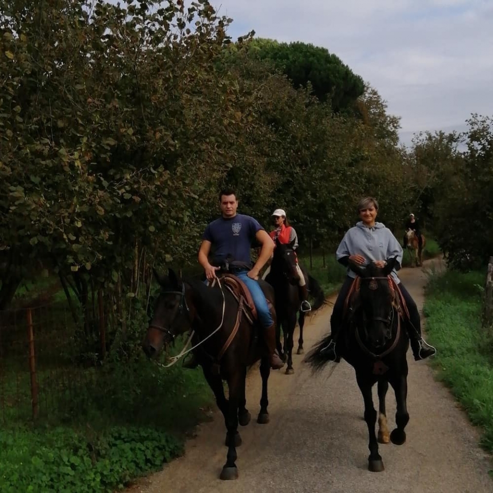  Subir en la naturaleza 