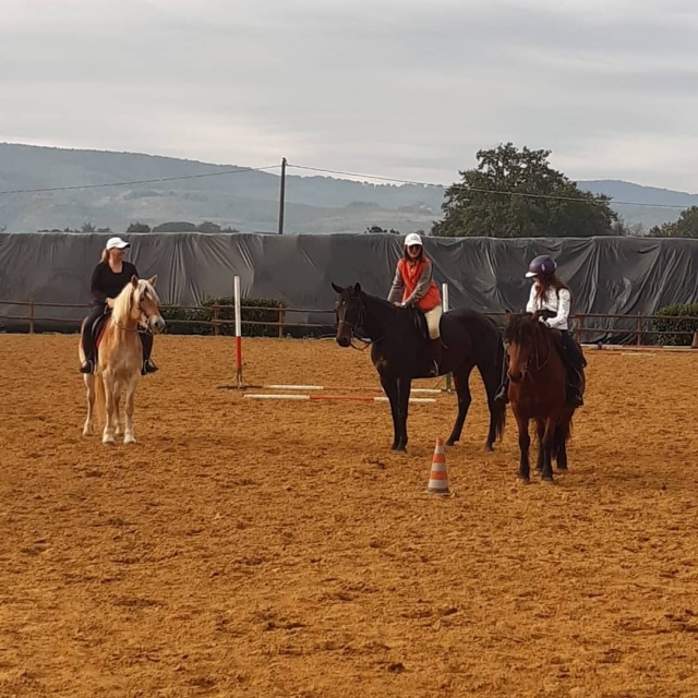 Lección básica previa a la excursión 