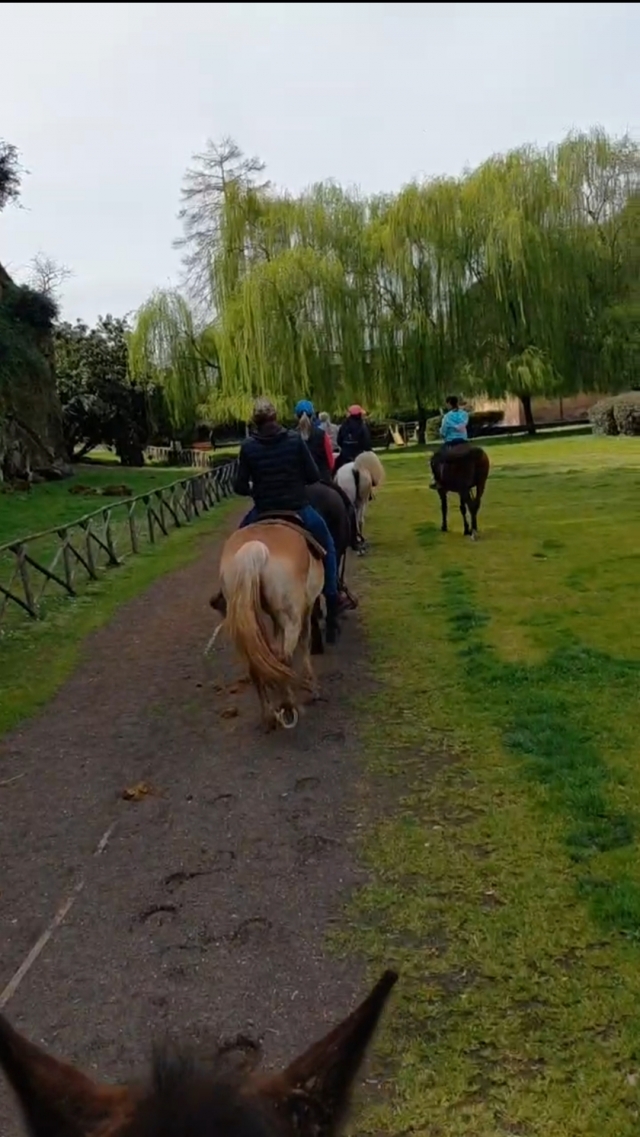 Caminando por los senderos verdes 