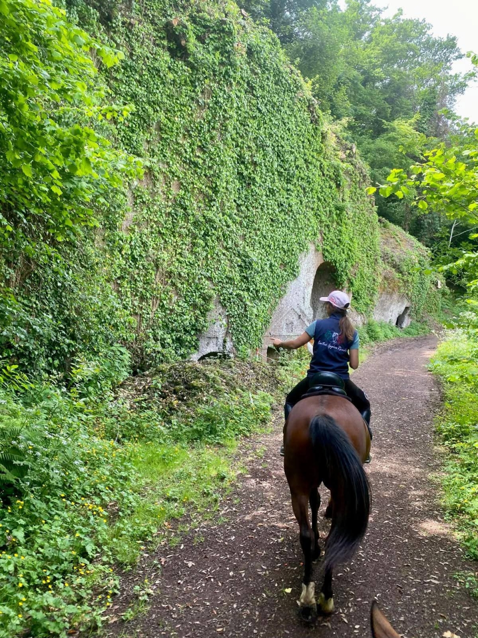  Las murallas del pueblo 