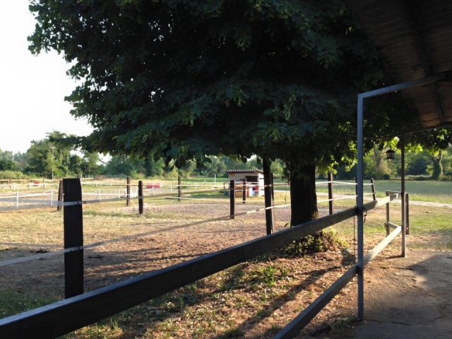  Los campos, entre la naturaleza y los árboles 