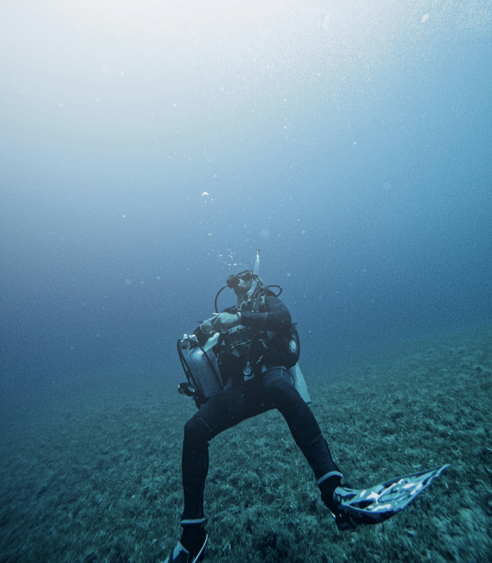 En el fondo marino 