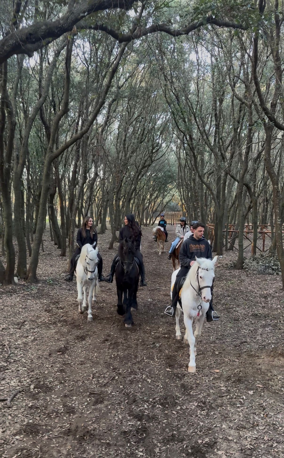  Entre los pinos marítimos 