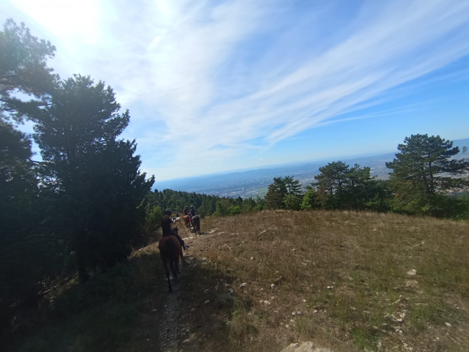  Por el campo y el bosque a caballo