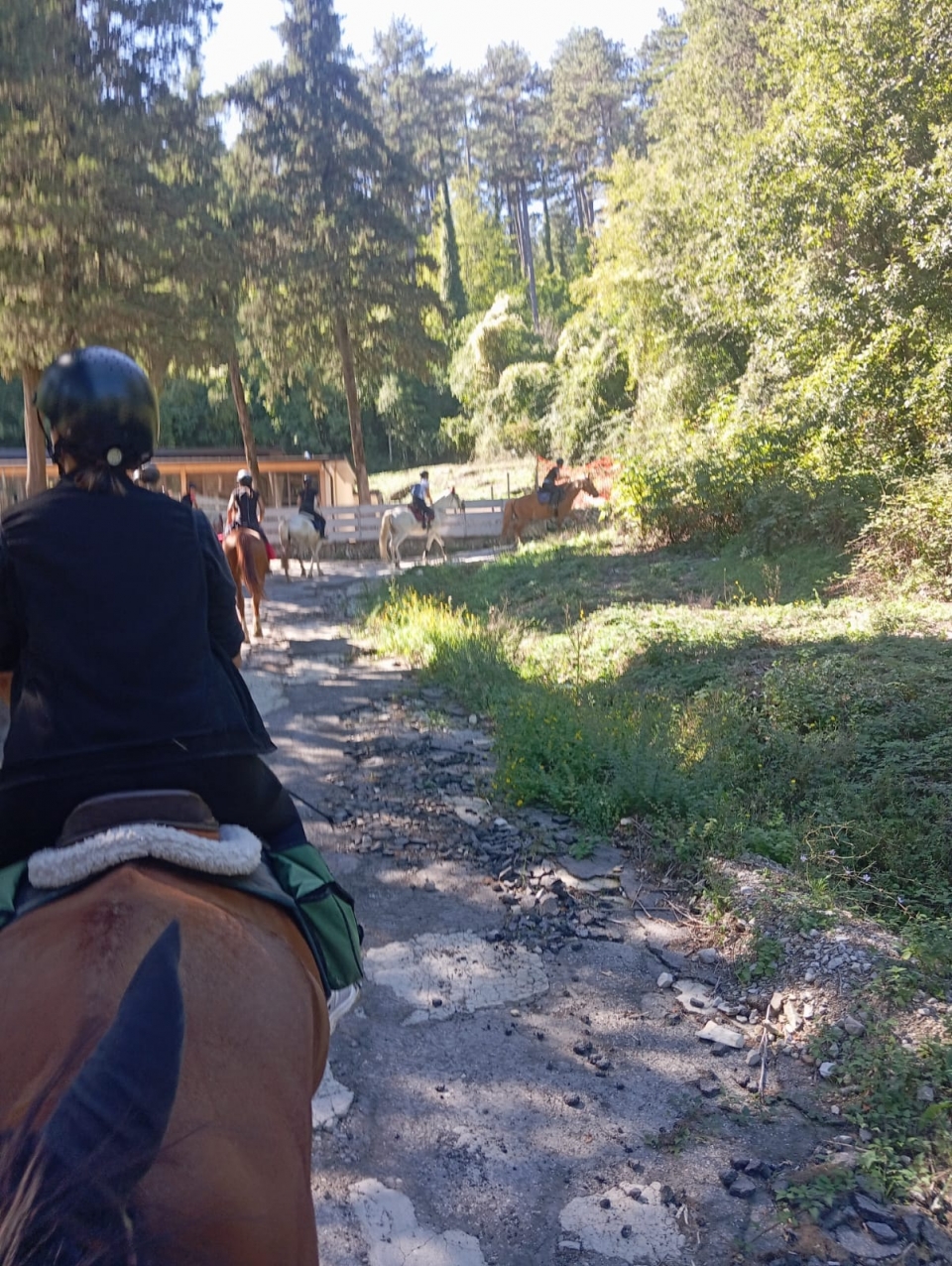 Paseo por los senderos 