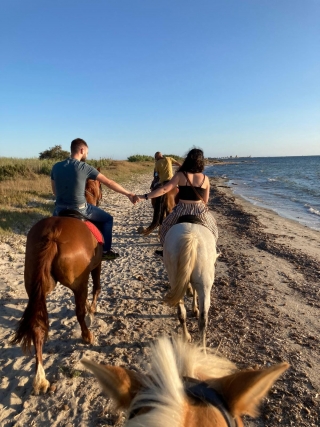 Paseo a caballo por los viñedos sicilianos 1h30