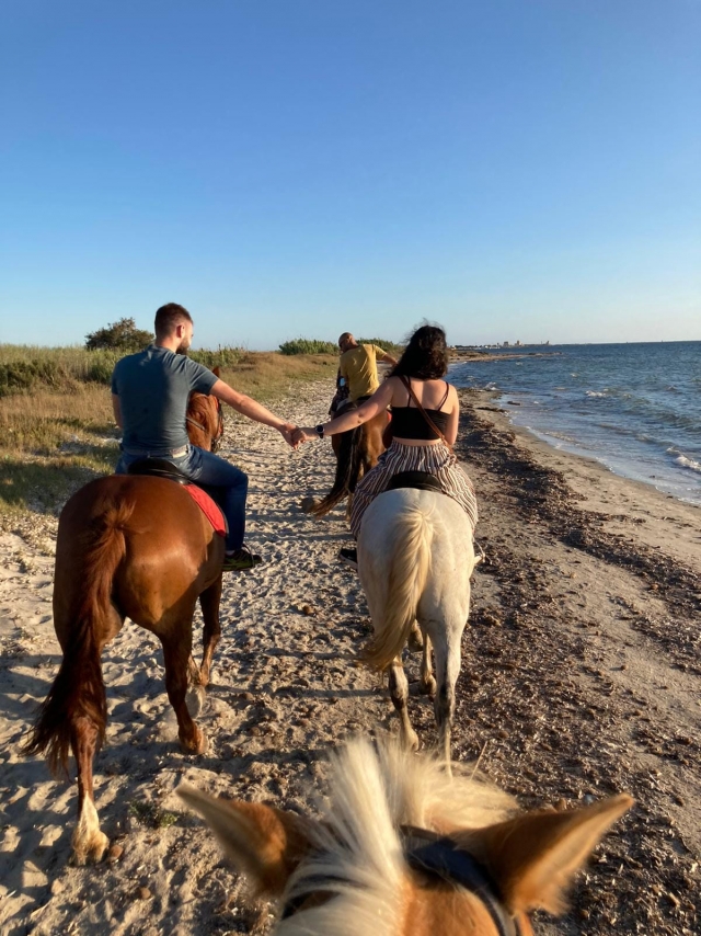 Paseo a caballo por los viñedos sicilianos 1h30