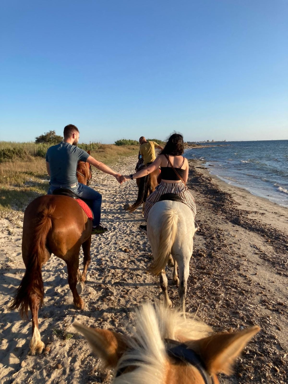 Paseo por la playa 