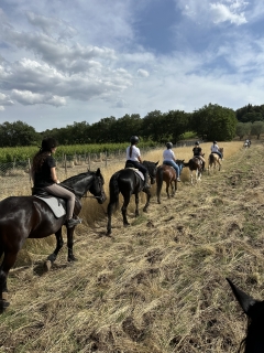 Cabalgamarra en Alta Murgia 1h