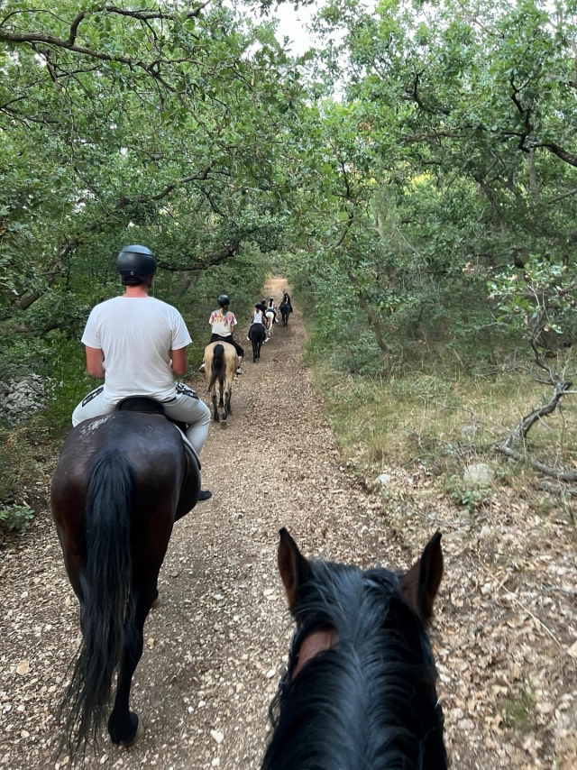 caminar por el bosque 